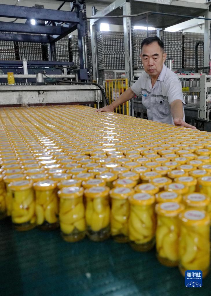 利奥国际平台登录